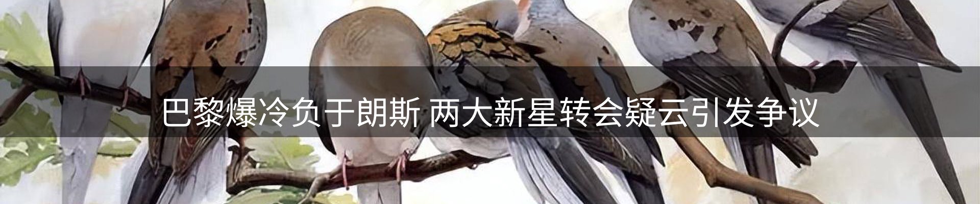赛事资讯