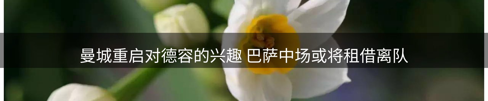 赛事资讯